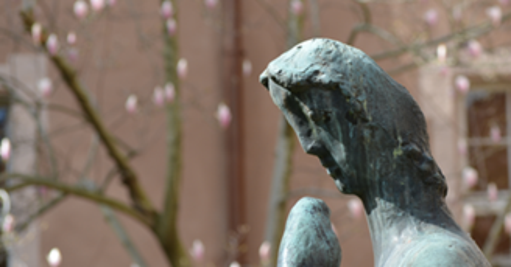Welcome to University College Freiburg — University College Freiburg