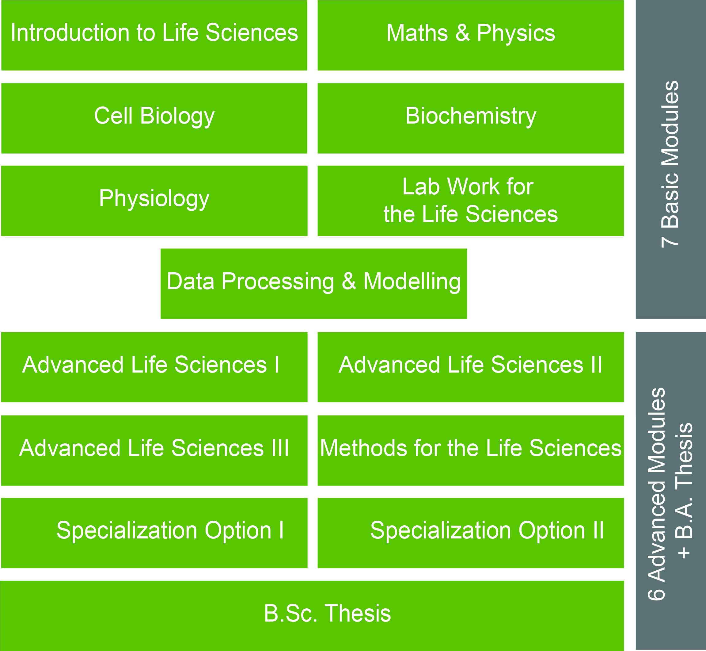 Grafik Life Sciences