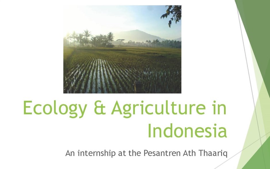 UCF-Karch-Ecology-Agriculture-Indonesia