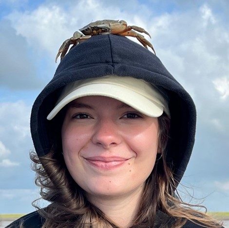 Millie Lemke Mediator