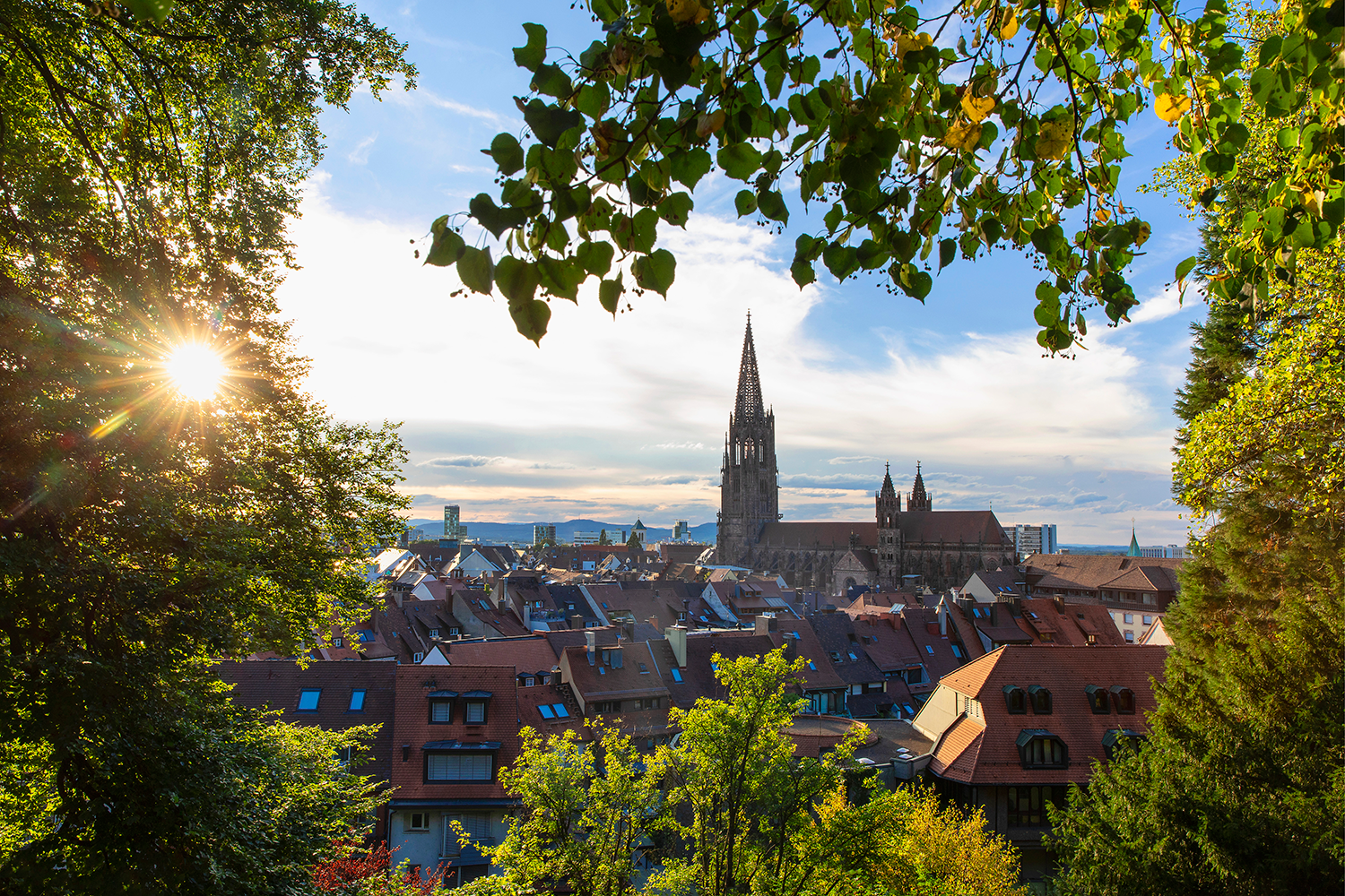 freiburg-munster-karlheinz-raach.png