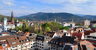 Freiburg tile