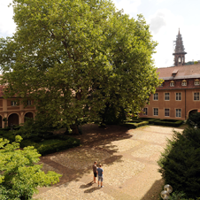 ucf-courtyard-by-kaufhold-small.png