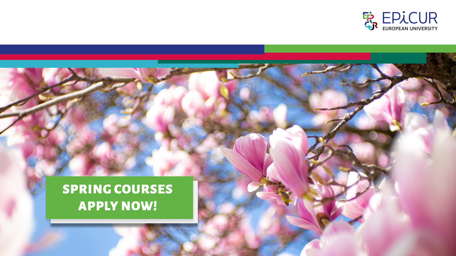Spring Courses 24