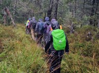 Excursion to the National Park Black Forest 3 Excursion to the National Park Black Forest 3