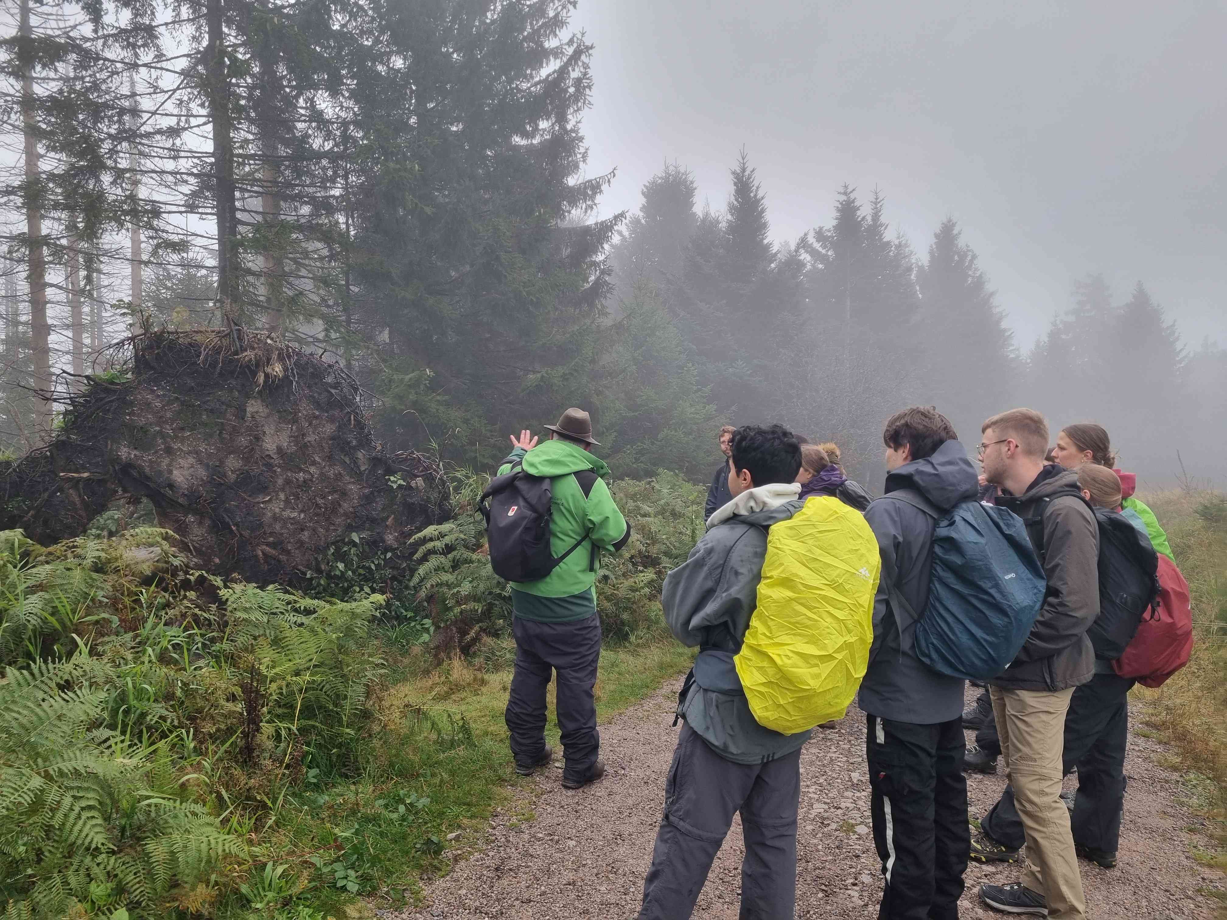 Excursion to the National Park Black Forest
